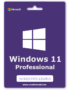 windows 11 professional, windows